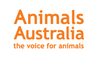 animals australia