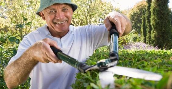 Scopri di più sull'articolo Cos’è il Giardiniere Bioetico?