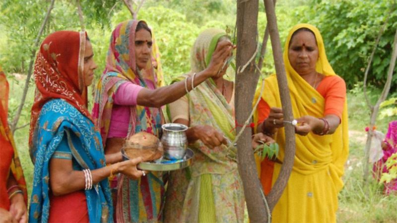 Scopri di più sull'articolo Villaggio in India pianta 111 alberi ogni volta che nasce una bambina (VIDEO)